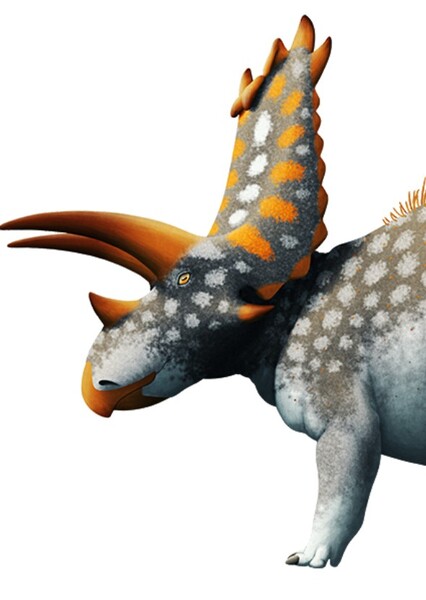 Pentaceratops photo