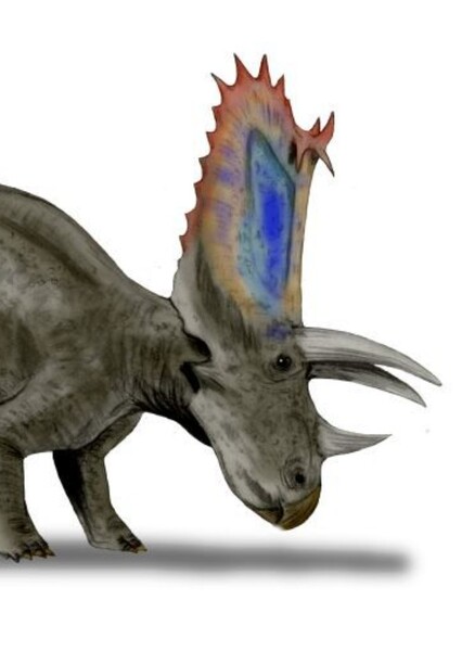 Pentaceratops photo