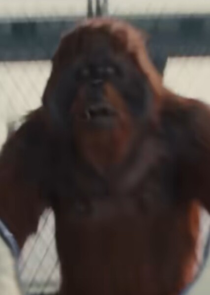 Peotor (Marvel Cinematic Universe)