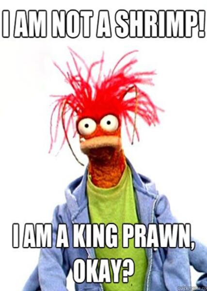 Pepé the King Prawn