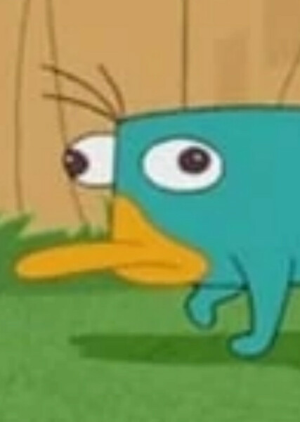 Perry the Platypus photo
