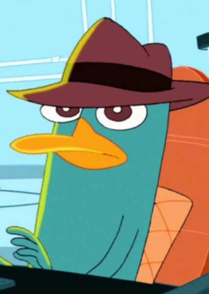 Perry the Platypus photo