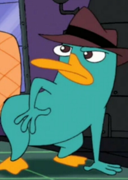 Perry the Platypus photo