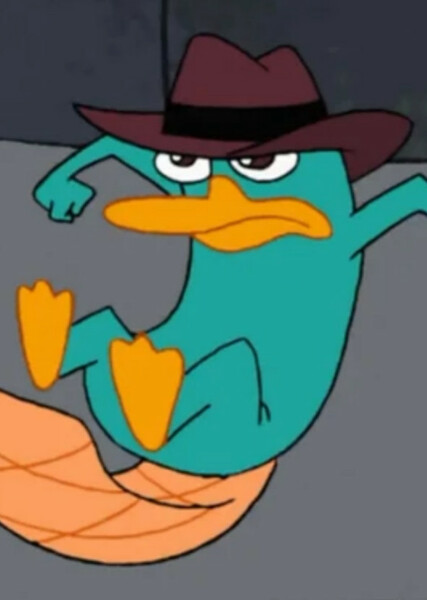 Perry the Platypus photo