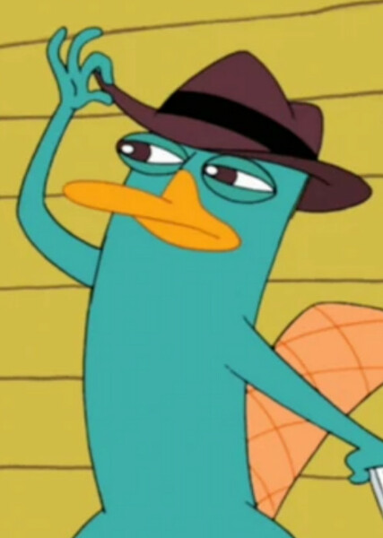 Perry the Platypus photo