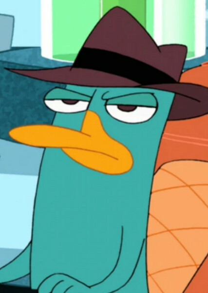 Perry the Platypus photo
