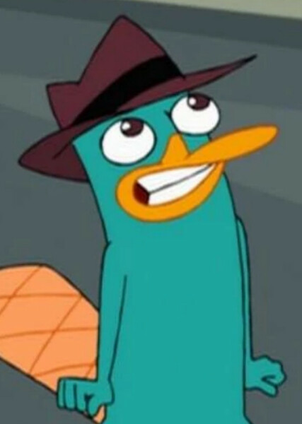 Perry the Platypus photo