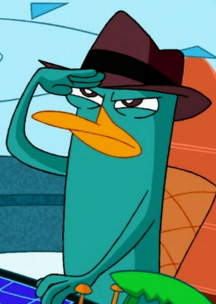 Perry the Platypus photo
