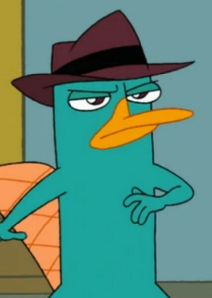 Perry the Platypus photo