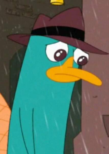 Perry the Platypus photo