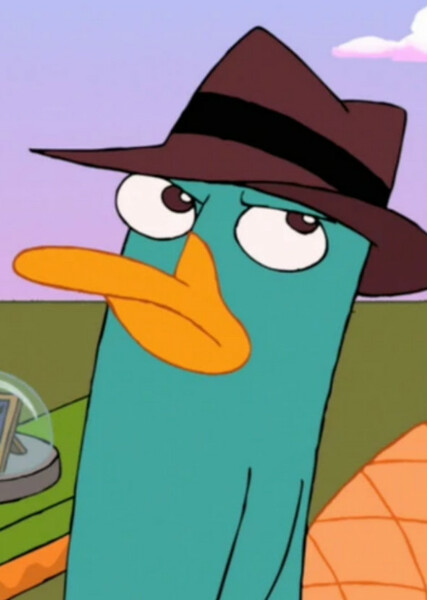 Perry the Platypus photo