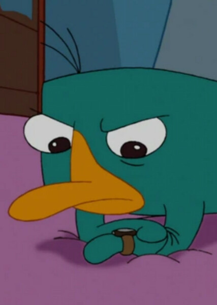Perry the Platypus photo