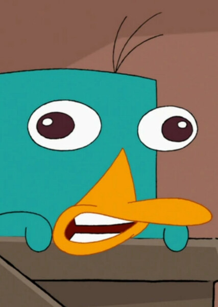 Perry the Platypus photo