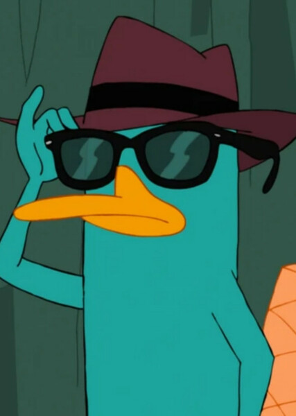 Perry the Platypus photo