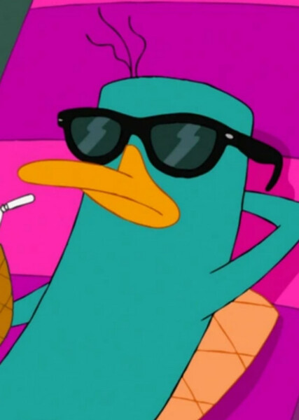 Perry the Platypus photo