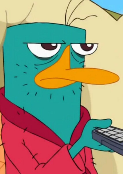 Perry the Platypus photo