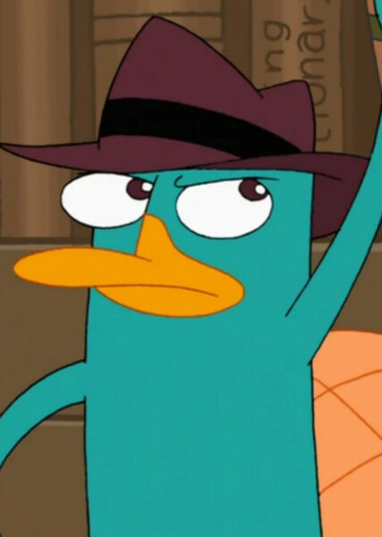 Perry the Platypus photo