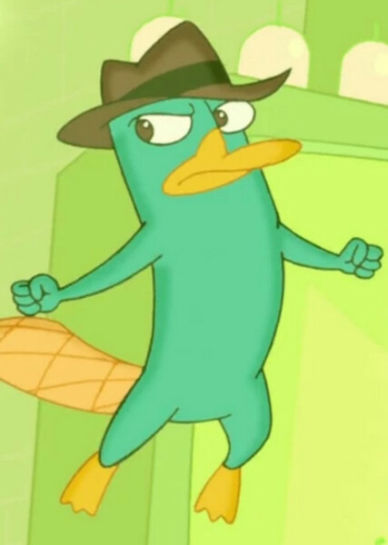 Perry the Platypus photo