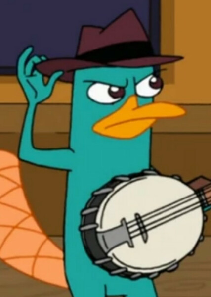 Perry the Platypus photo