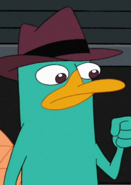 Perry the Platypus photo