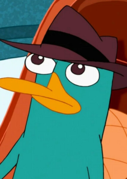 Perry the Platypus photo