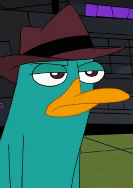 Perry the Platypus photo