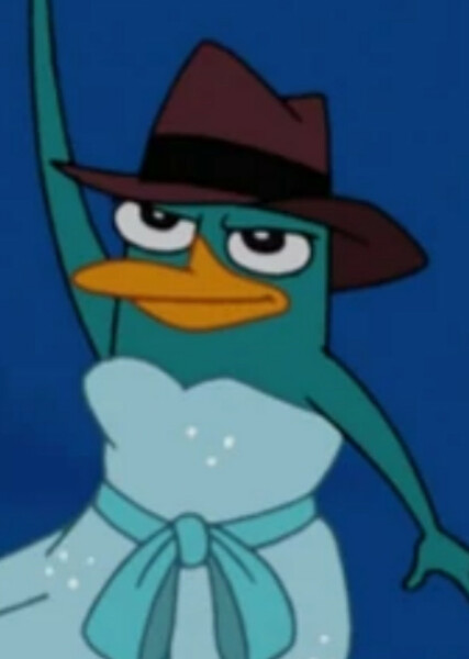 Perry the Platypus photo