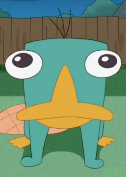 Perry the Platypus photo