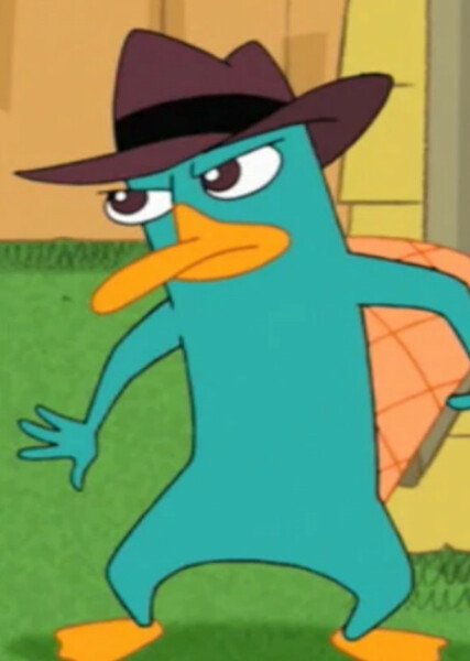 Perry the Platypus photo