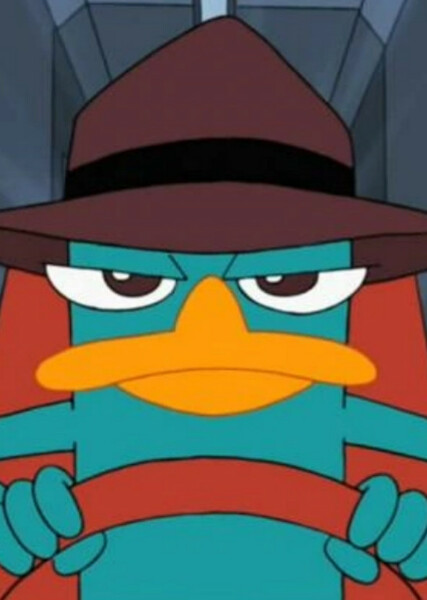 Perry the Platypus photo