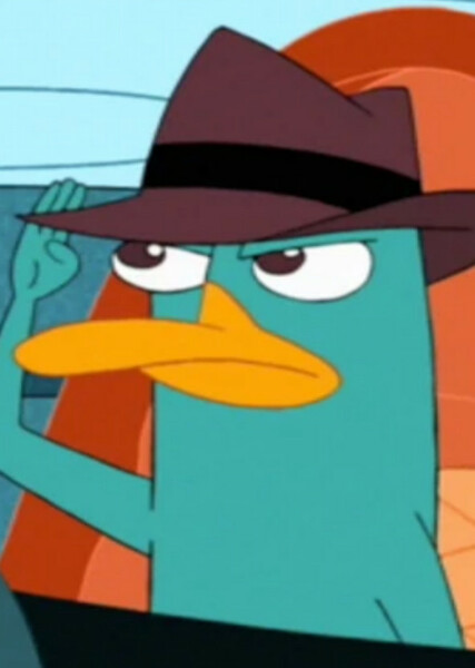 Perry the Platypus photo