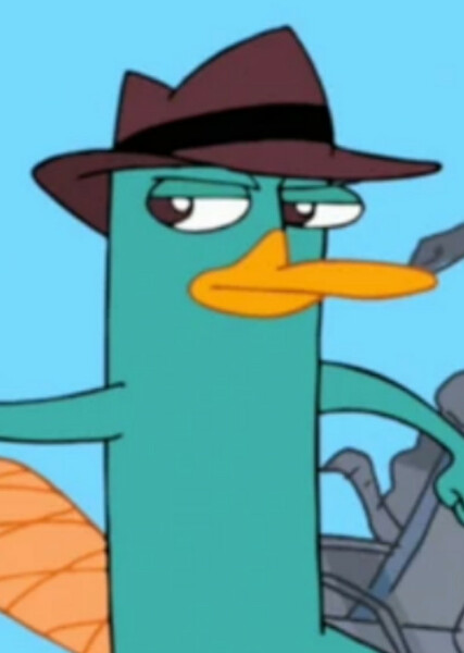 Perry the Platypus photo