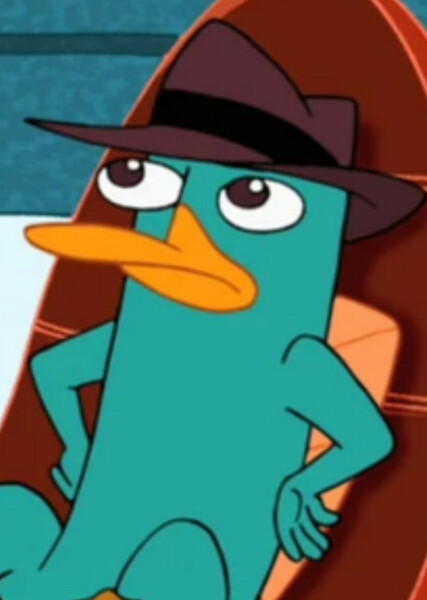 Perry the Platypus photo