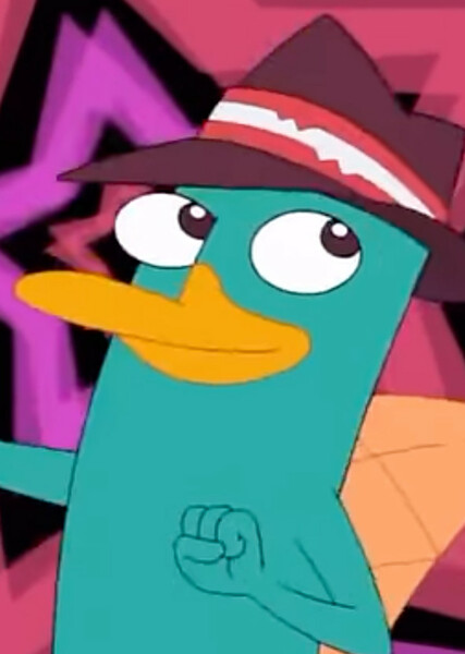 Perry the Platypus photo