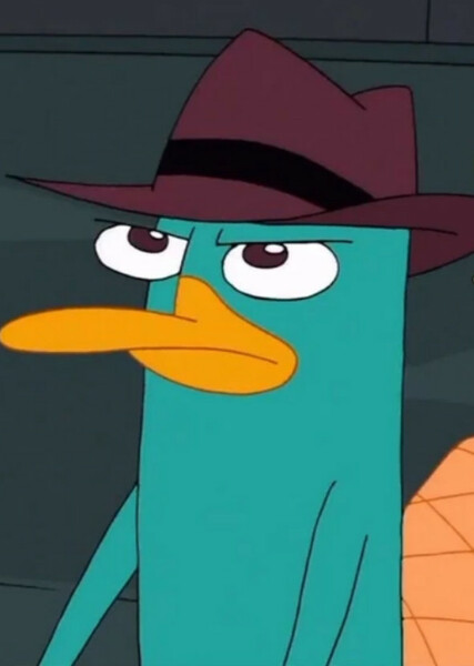 Perry the Platypus photo