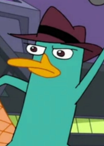 Perry the Platypus photo
