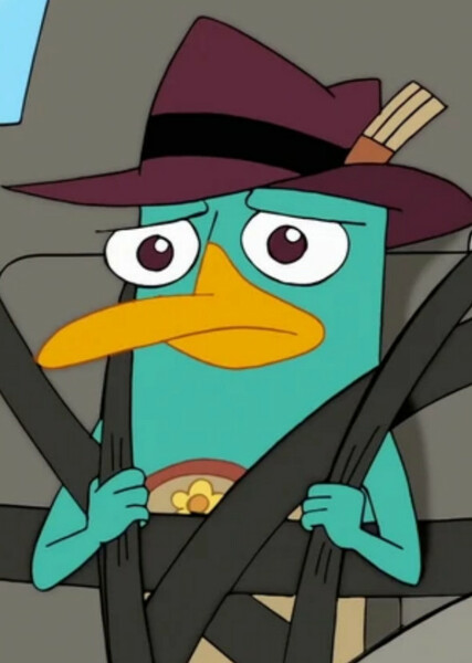 Perry the Platypus photo