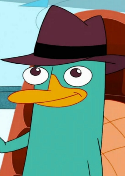 Perry the Platypus photo
