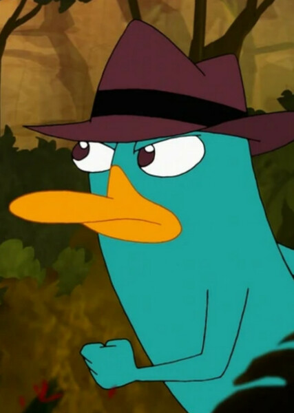 Perry the Platypus photo