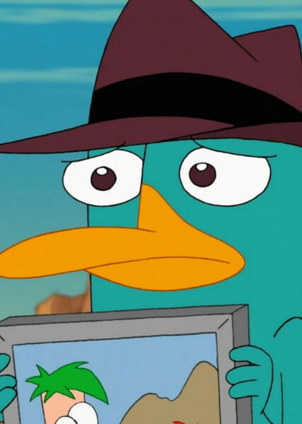 Perry the Platypus photo