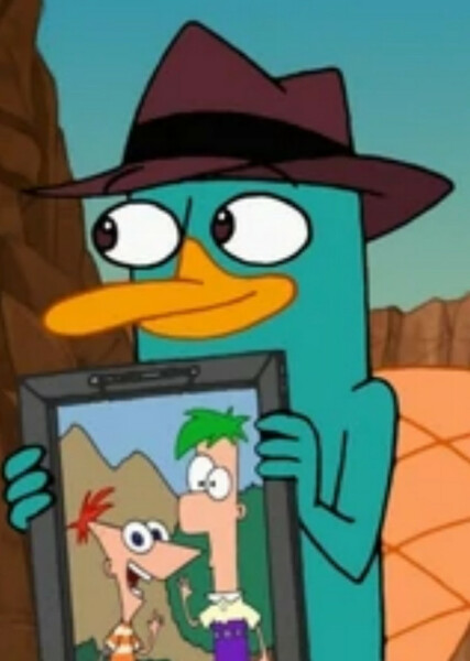 Perry the Platypus photo