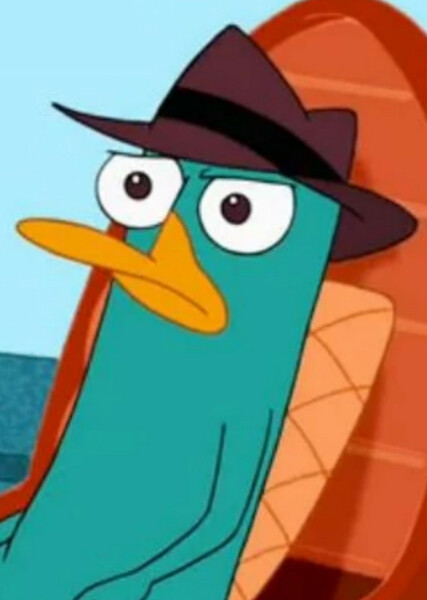 Perry the Platypus photo
