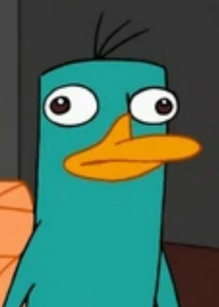 Perry the Platypus photo