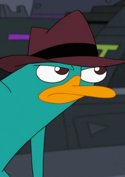 Perry the Platypus photo