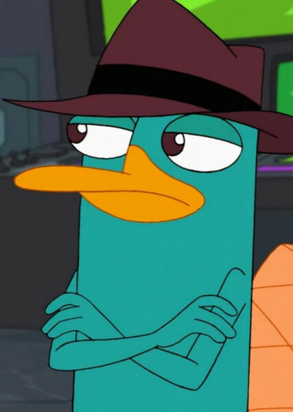 Perry the Platypus photo