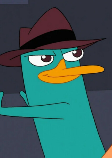 Perry the Platypus photo