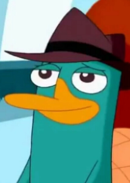 Perry the Platypus photo