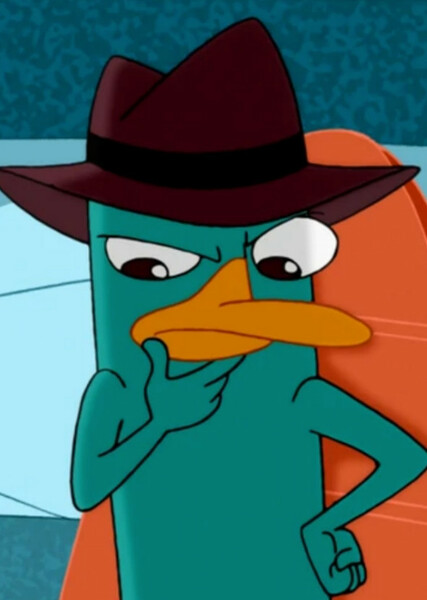 Perry the Platypus photo