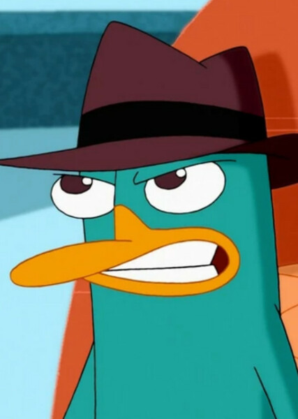 Perry the Platypus photo