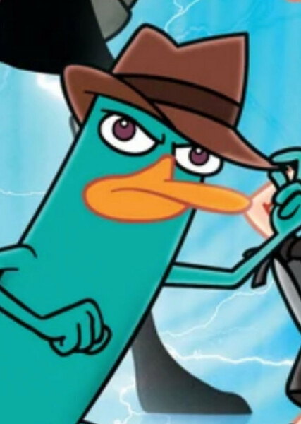Perry the Platypus photo